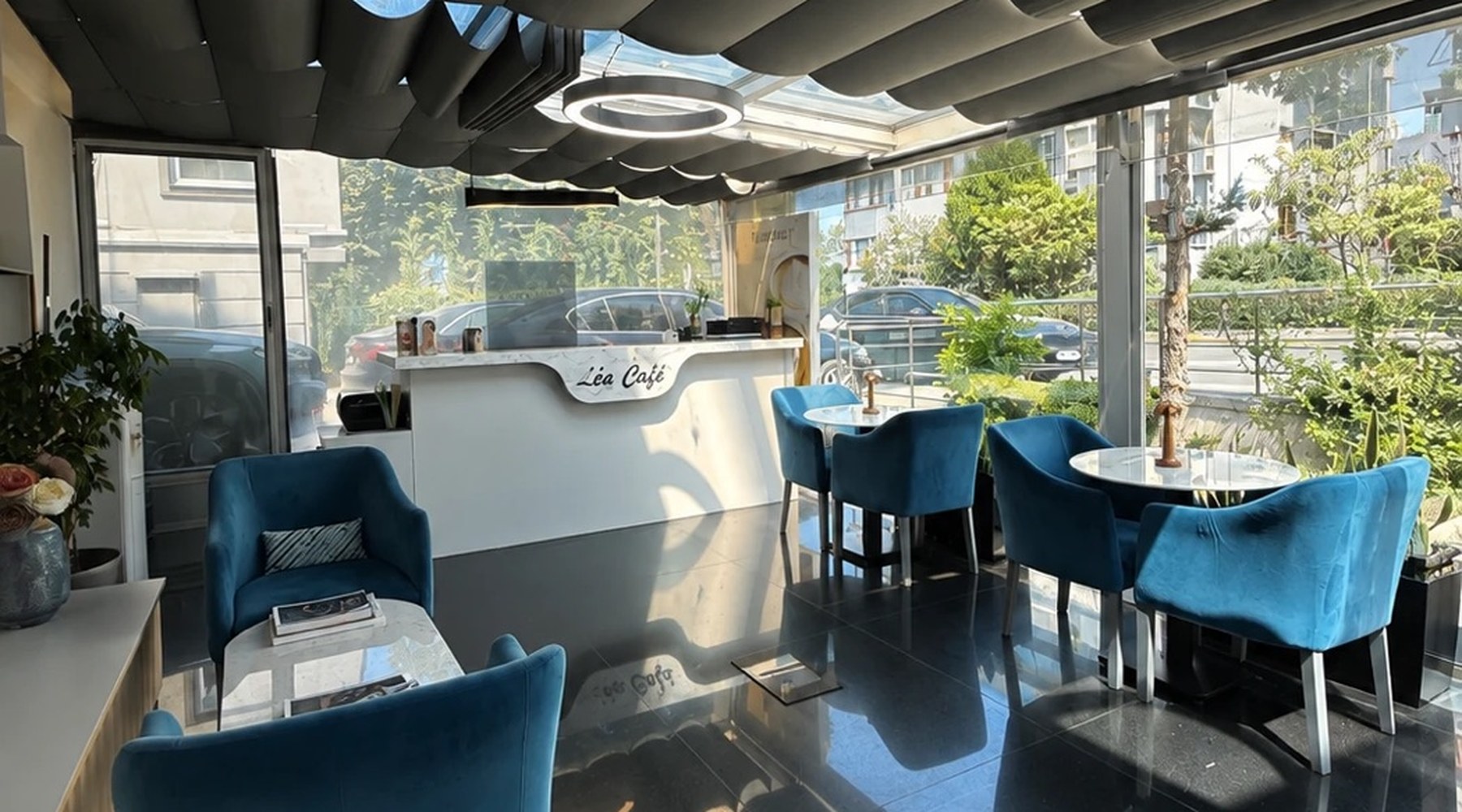 VIP hair transplant experience at premium Istanbul clinic